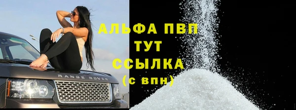 ПСИЛОЦИБИНОВЫЕ ГРИБЫ Заволжье
