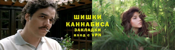 ПСИЛОЦИБИНОВЫЕ ГРИБЫ Заволжье