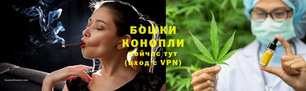 ПСИЛОЦИБИНОВЫЕ ГРИБЫ Заволжье