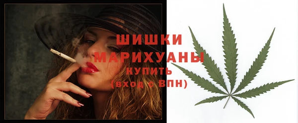 PSILOCYBIN Заводоуковск
