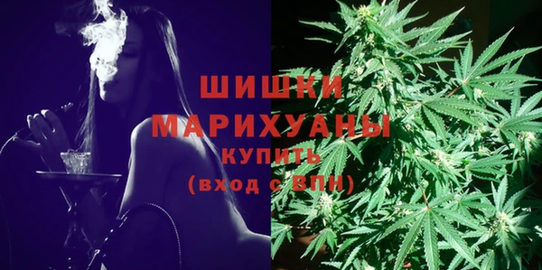 ПСИЛОЦИБИНОВЫЕ ГРИБЫ Заволжье