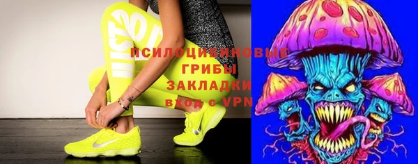 ПСИЛОЦИБИНОВЫЕ ГРИБЫ Заволжье