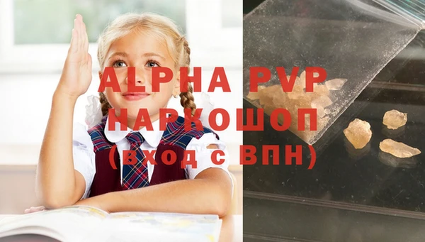ПСИЛОЦИБИНОВЫЕ ГРИБЫ Заволжье
