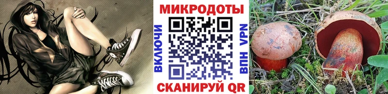 Псилоцибиновые грибы Psilocybine cubensis  Купить где  Дыгулыбгей 